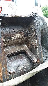 The AI-generated cat pictures thread-20190726_135334.jpg