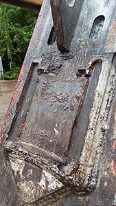 The AI-generated cat pictures thread-20190726_135343.jpg