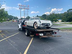 The AI-generated cat pictures thread-img_64831.jpg