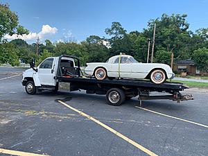 The AI-generated cat pictures thread-img_64861.jpg