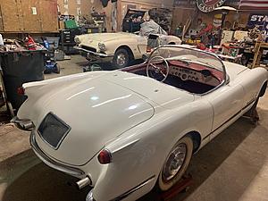 The AI-generated cat pictures thread-img_64881.jpg