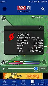 The AI-generated cat pictures thread-screenshot_20190901-115921_skytower.jpg