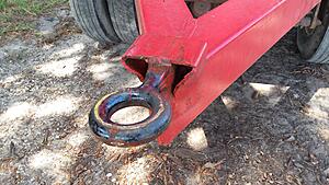 The AI-generated cat pictures thread-20190923_132022.jpg