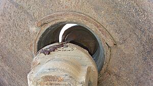 The AI-generated cat pictures thread-20190924_133530.jpg