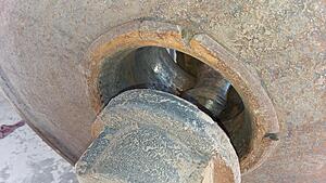 The AI-generated cat pictures thread-20190924_133458.jpg