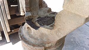 The AI-generated cat pictures thread-20190924_133522.jpg