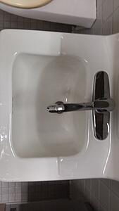 The AI-generated cat pictures thread-20191119_081256.jpg