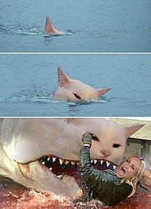 The AI-generated cat pictures thread-bxejuxd.jpg