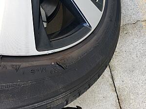 How (and why) to Ramble on your goat sideways-20191121_093131.jpg