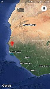 The AI-generated cat pictures thread-screenshot_20191201-211741_maps.jpg