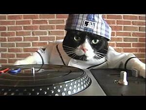 The AI-generated cat pictures thread-hqdefault.jpg