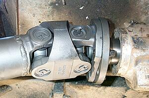 The AI-generated cat pictures thread-dcp_6535.jpg