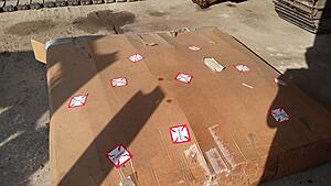 The AI-generated cat pictures thread-20200116_095510.jpg