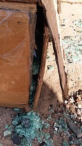 The AI-generated cat pictures thread-20200116_095529.jpg