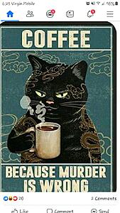 The AI-generated cat pictures thread-resized_screenshot_20201031-062508_facebook.jpg