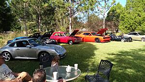 The AI-generated cat pictures thread-20201031_103626.jpg