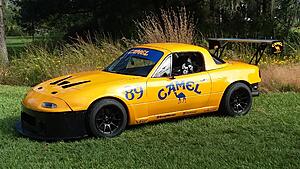 The AI-generated cat pictures thread-20201031_104127.jpg