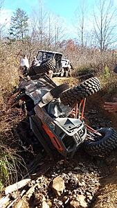 The AI-generated cat pictures thread-20201114_133655.jpg