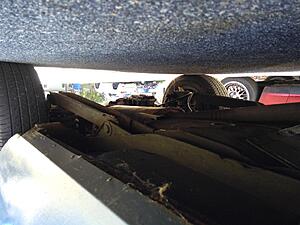 Making poor life choices of the Italian type, 0 1981 Spider.-img_20201129_101333903-medium-.jpg