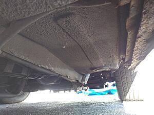 Making poor life choices of the Italian type, 0 1981 Spider.-img_20201129_101538250-medium-.jpg