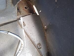 Making poor life choices of the Italian type, 0 1981 Spider.-img_20201129_101617479-medium-.jpg