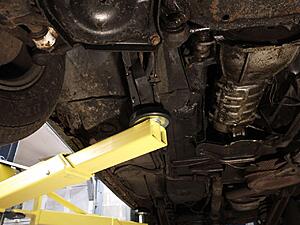 Making poor life choices of the Italian type, 0 1981 Spider.-photo_2021-06-04_20-55-59-4-.jpg