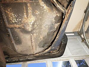 Making poor life choices of the Italian type, 0 1981 Spider.-photo_2021-06-04_20-56-05-4-.jpg