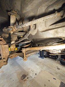 Making poor life choices of the Italian type, 0 1981 Spider.-photo_2021-06-08_18-35-25.jpg