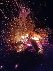 The AI-generated cat pictures thread-resized_20220218_225041.jpeg