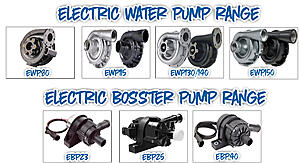 The AI-generated cat pictures thread-1651193303.ewpebprange29-april-2022.jpg