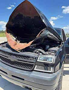 The AI-generated cat pictures thread-download_20220606_205555.jpg