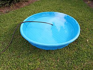 The AI-generated cat pictures thread-img_20220709_181900.jpg