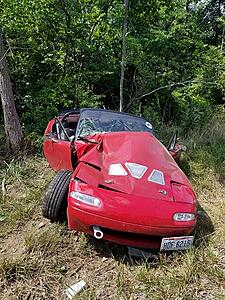 The AI-generated cat pictures thread-31735800148_45352cd8de_z.jpg