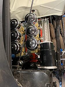 The AI-generated cat pictures thread-img_6023.jpg