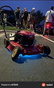 The AI-generated cat pictures thread-download_20200921_132922.jpg