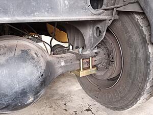 The AI-generated cat pictures thread-20221216_133310.jpg