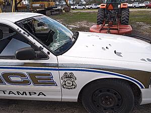 The AI-generated cat pictures thread-20230113_135956.jpg