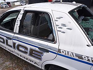 The AI-generated cat pictures thread-20230113_135922.jpg