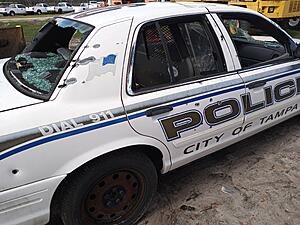 The AI-generated cat pictures thread-20230113_135941.jpg