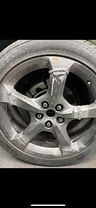 The AI-generated cat pictures thread-mpydv71dvcea1.jpg