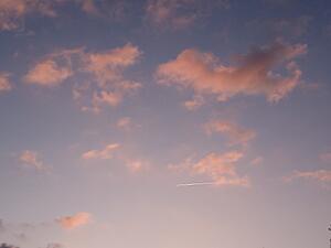 The AI-generated cat pictures thread-20230219_181016.jpg