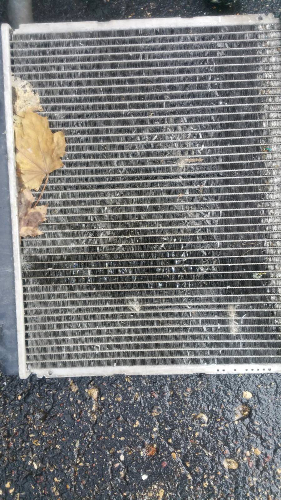 Name:  tJ1OfHj.jpg
Views: 46
Size:  330.3 KB