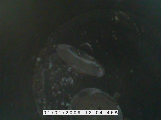 Name:  86jcRU0l.jpg
Views: 64
Size:  22.4 KB