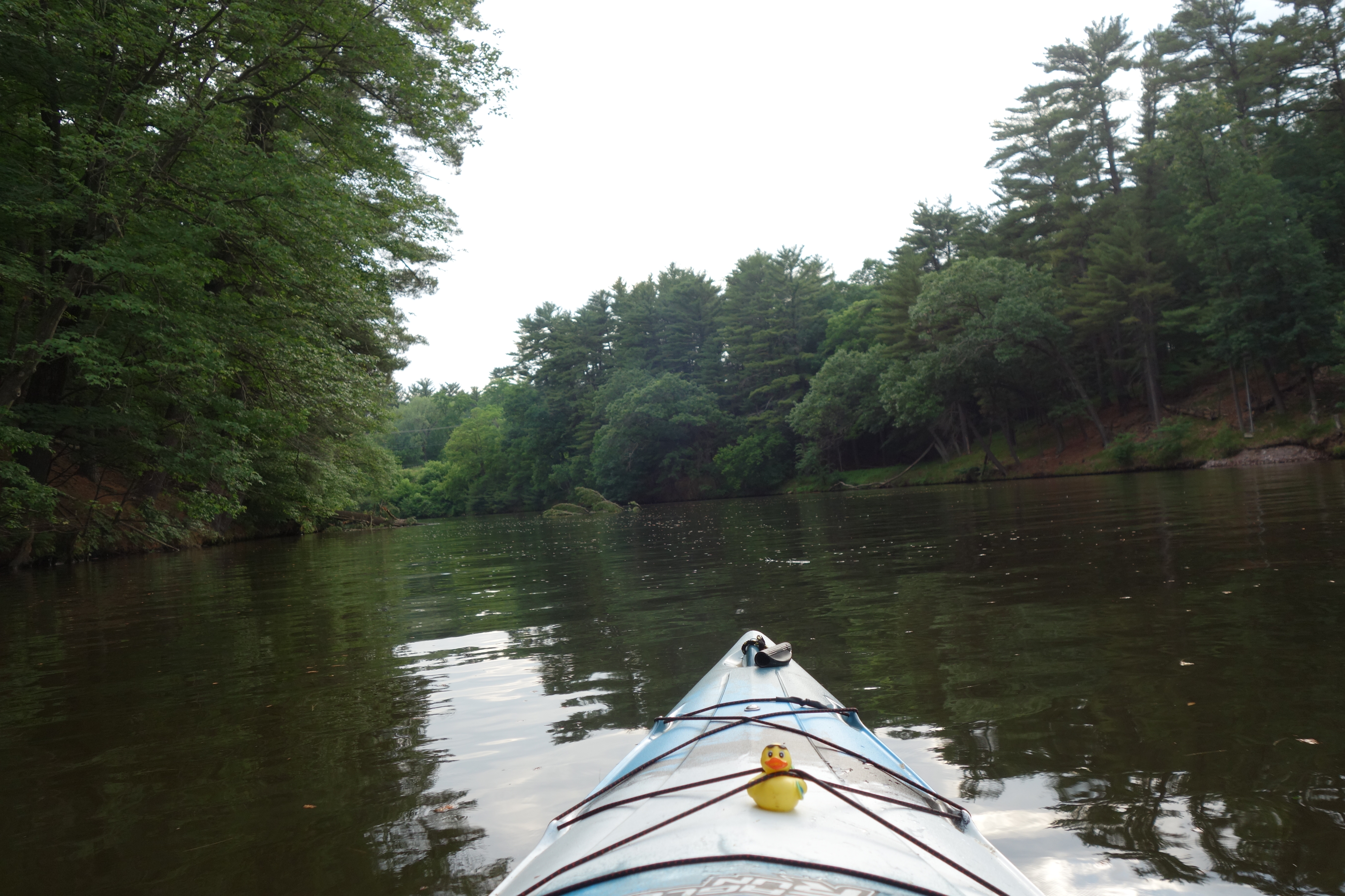 Name:  BOqp84m.jpg
Views: 51
Size:  4.69 MB