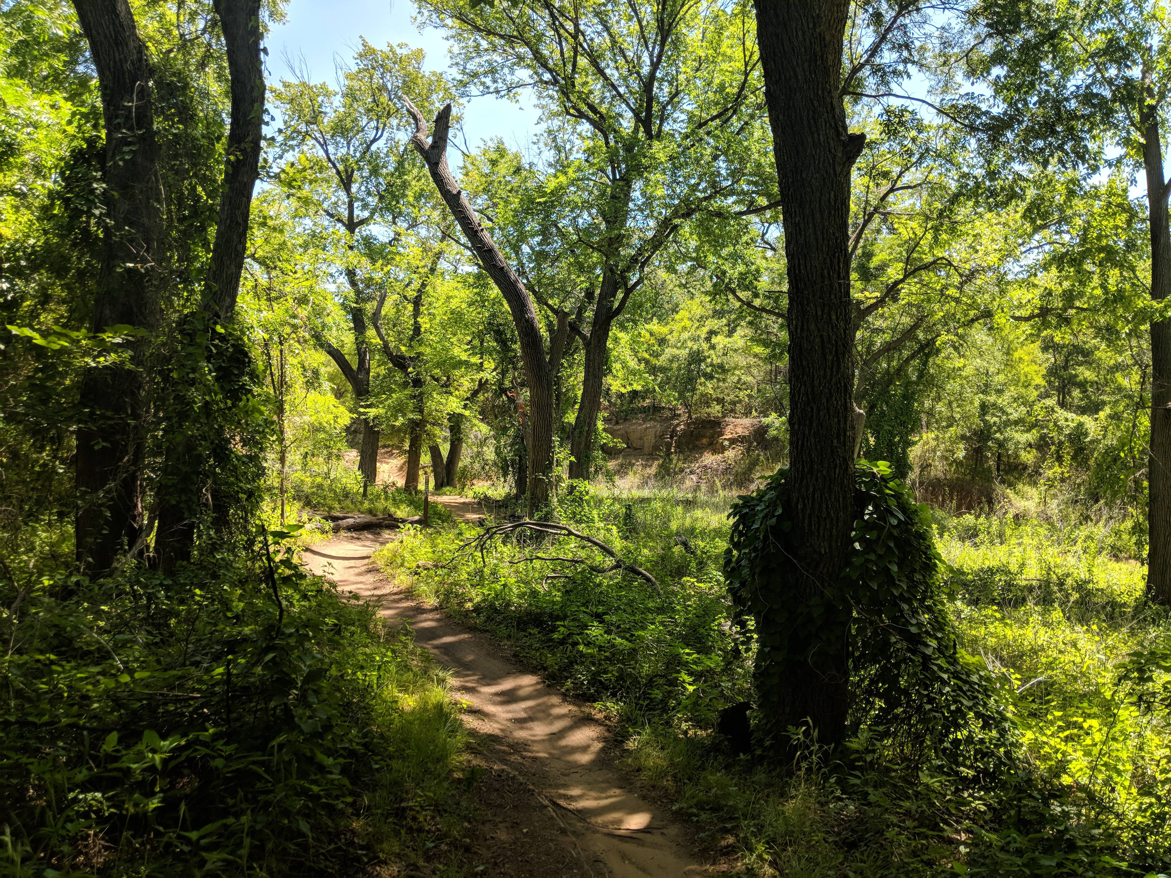 Name:  rnhWpwV.jpg
Views: 48
Size:  2.86 MB