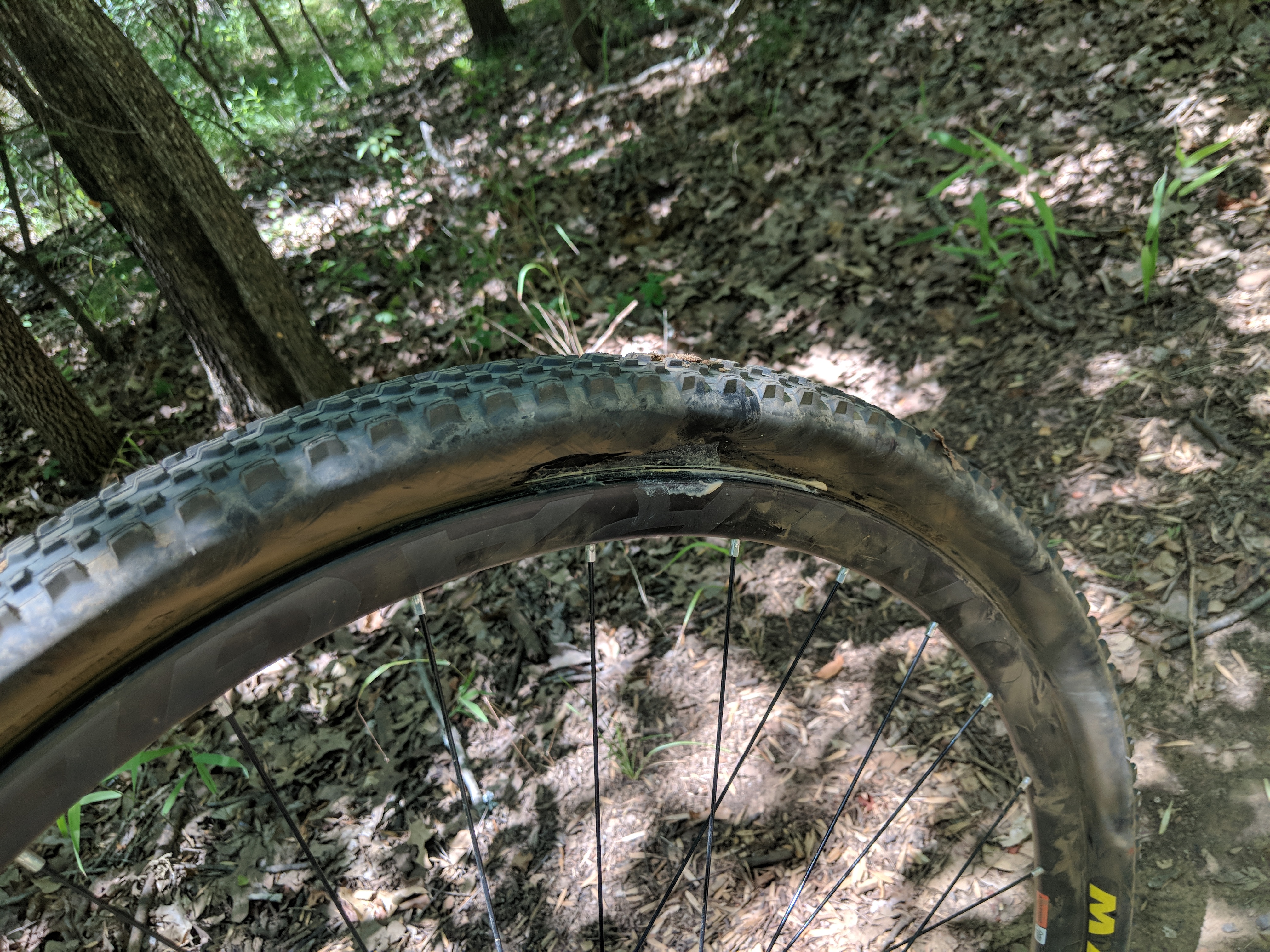 Name:  3NiYR1j.jpg
Views: 49
Size:  4.18 MB