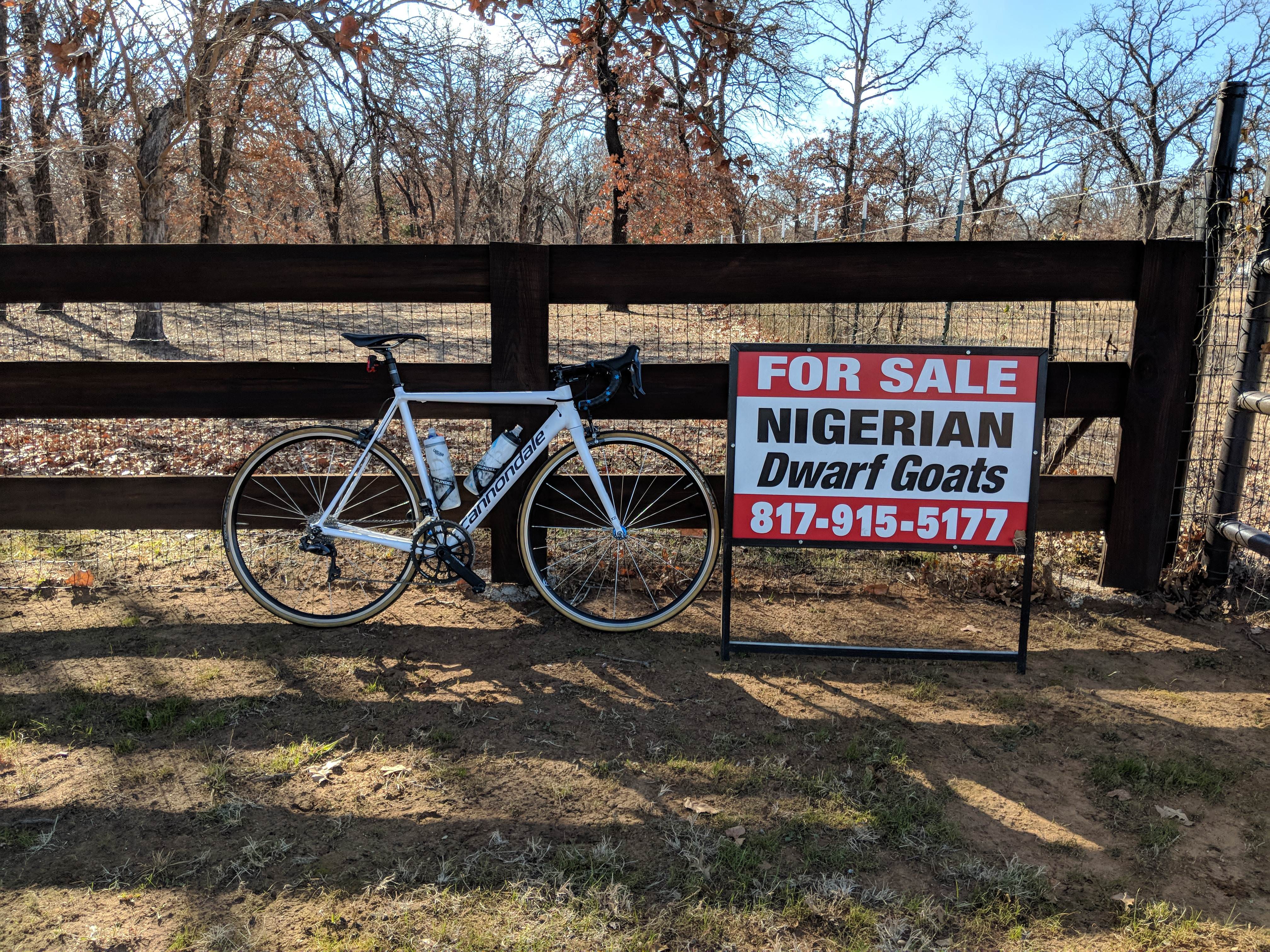 Name:  1EG4gXG.jpg
Views: 50
Size:  2.32 MB