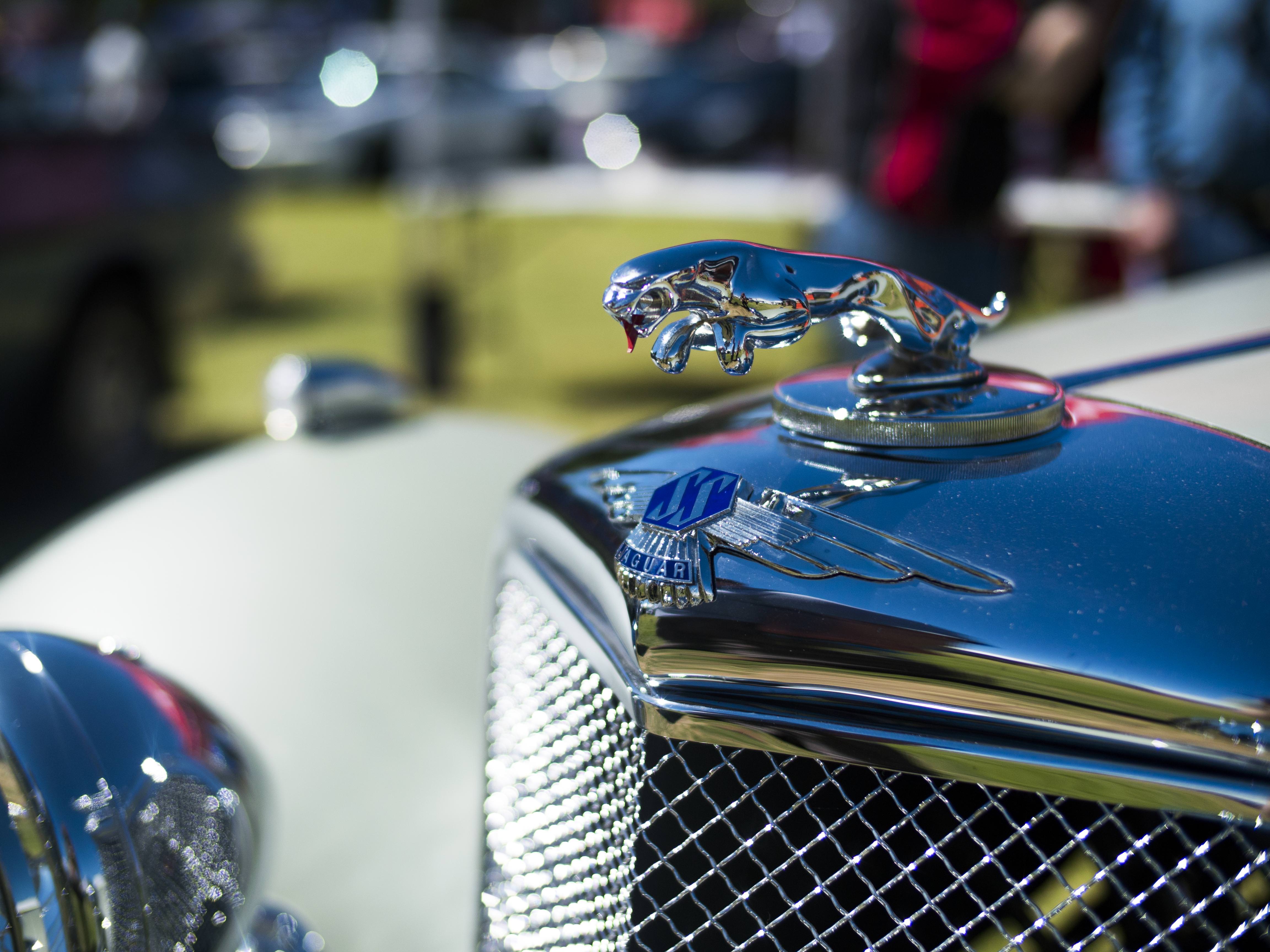 Name:  tYLawiz.jpg
Views: 40
Size:  1.07 MB