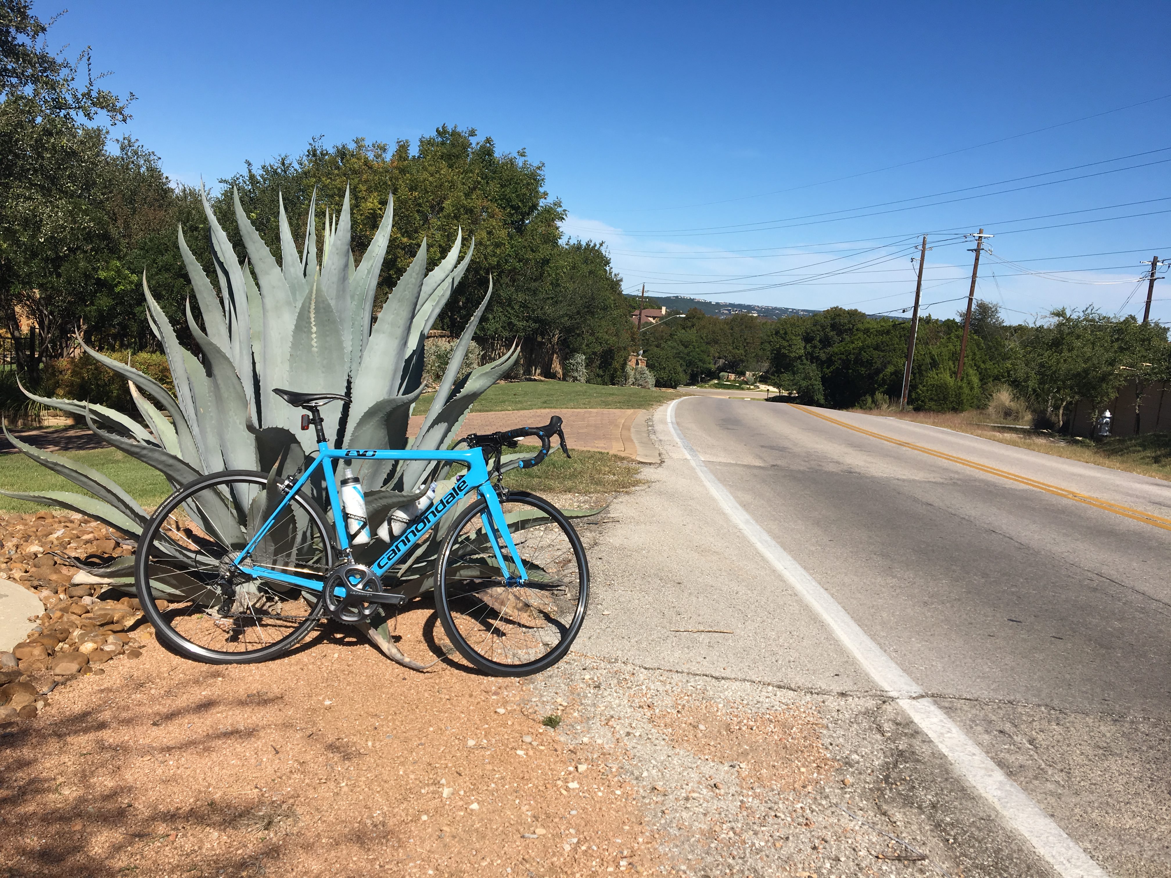 Name:  x8AYhT4.jpg
Views: 61
Size:  2.45 MB