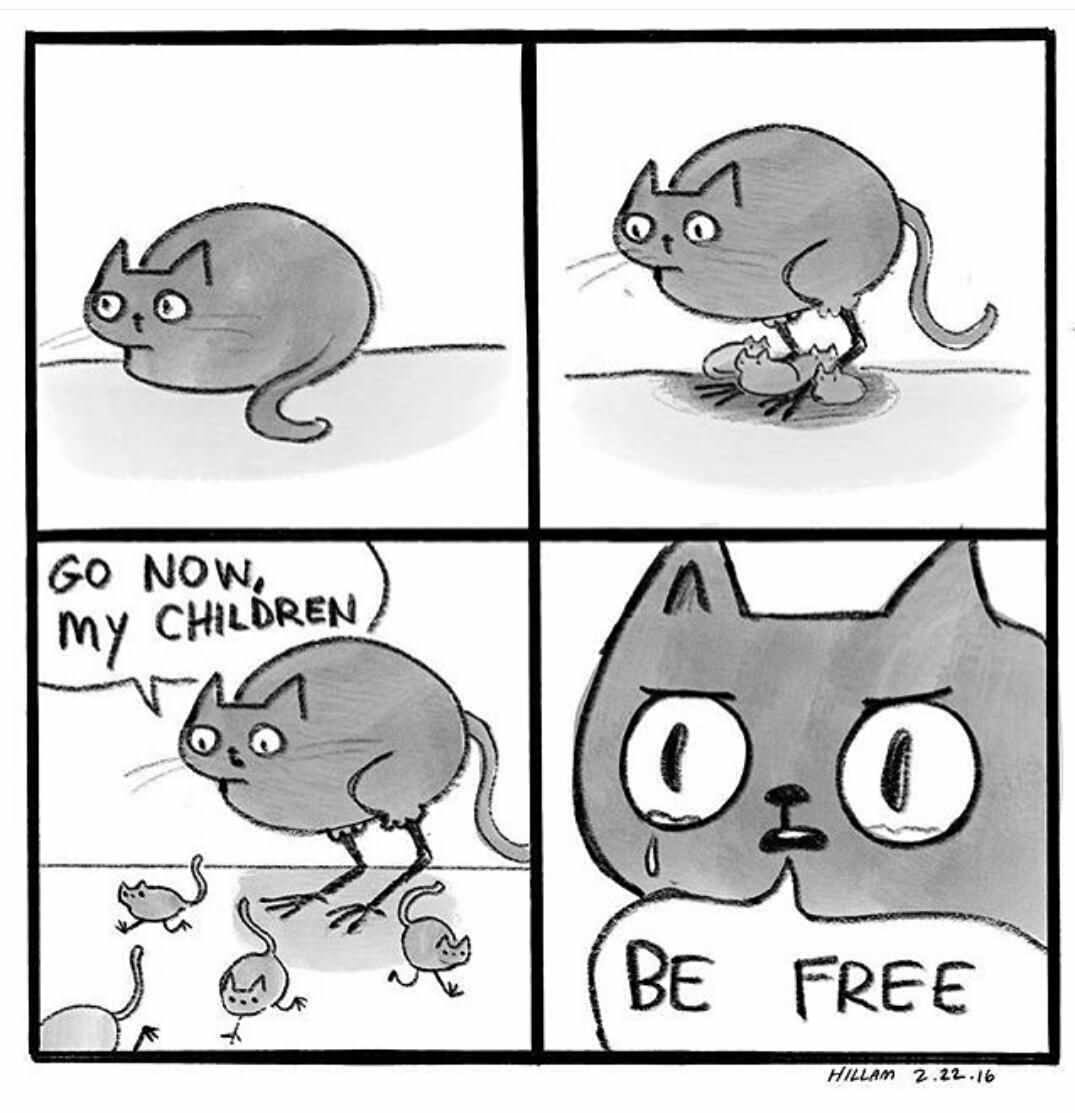 Name:  3fsJe5o.jpg
Views: 40
Size:  74.1 KB